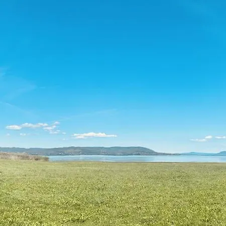 Rose Lakeside * Balatonberény